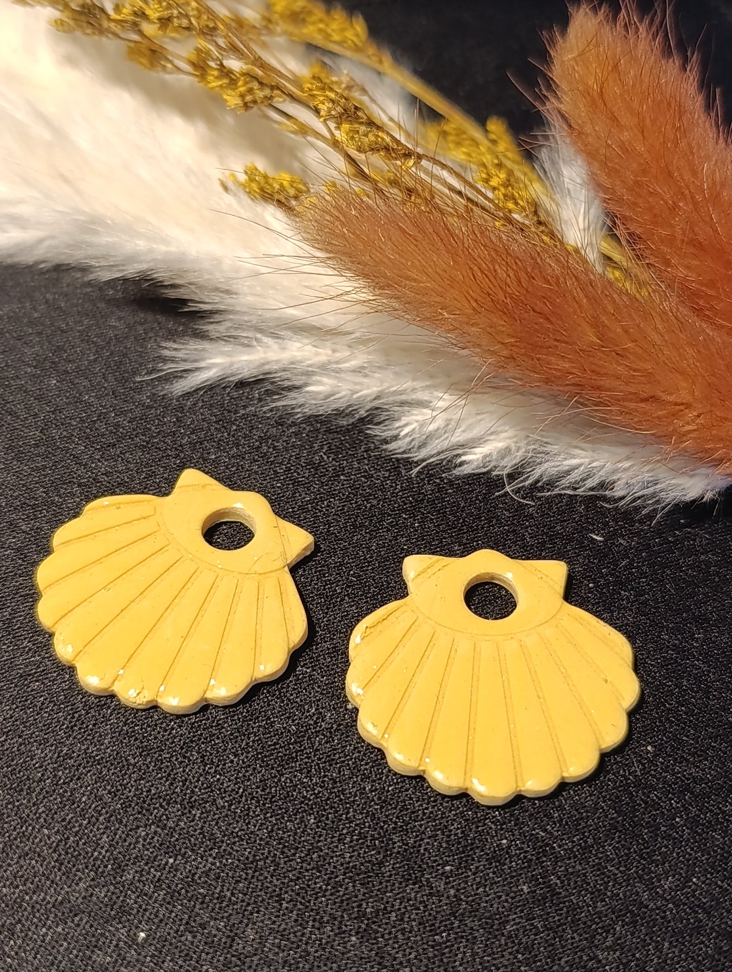 Pampilles Coquillage